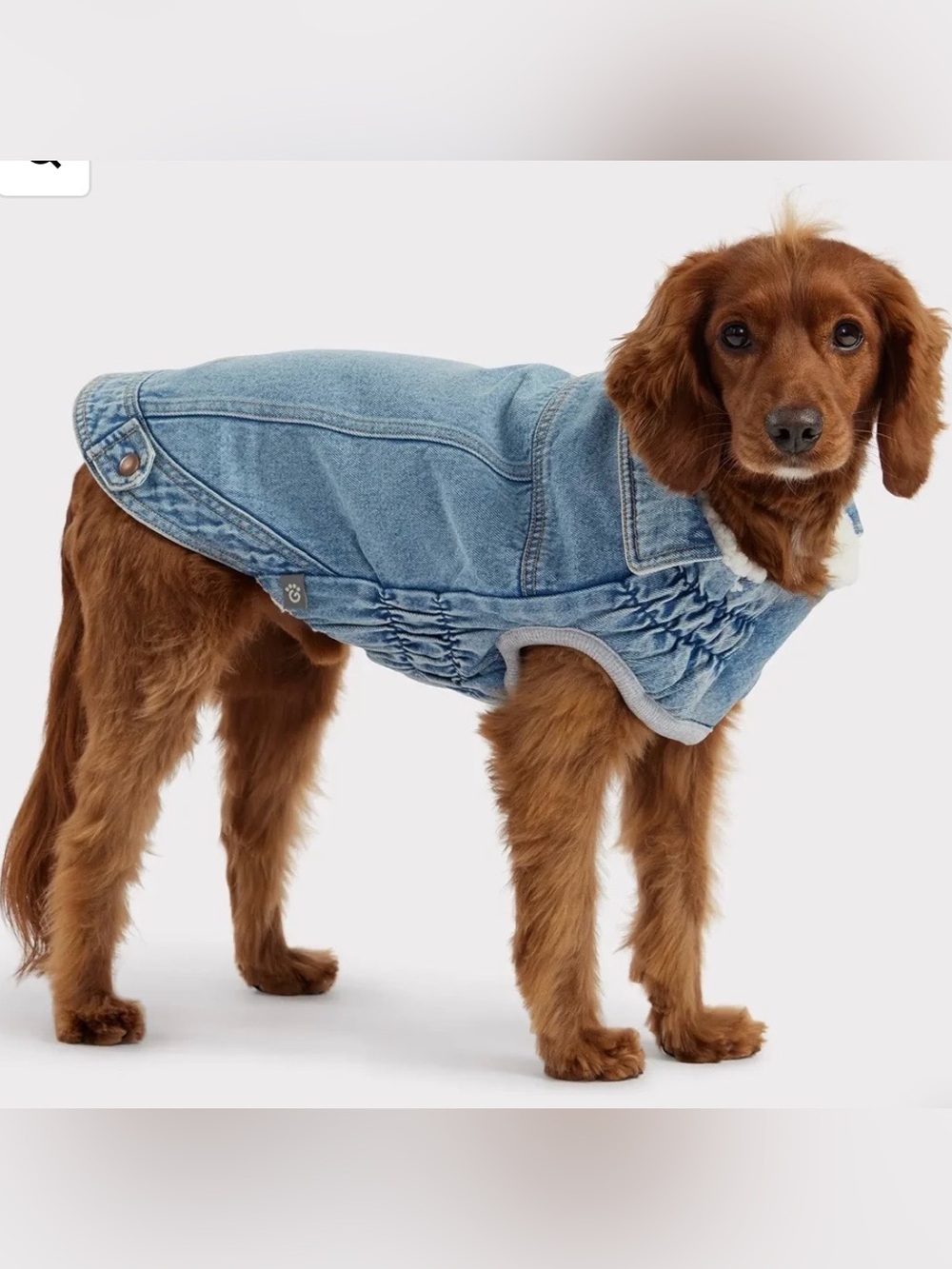 Dog 90s Inspired Jacket in Denim Blue